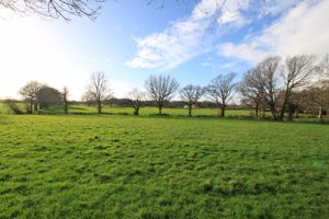 Outlook- click for photo gallery